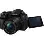 Mirrorless Cameras - Panasonic Lumix DC-G90 + 12-60mm Kit, black DC-G90MEG-K - quick order from manufacturer