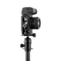 Новые товары - 3 Legged Thing ROXIE QD 110mm Arca L-Bracket Darkness/Blk for Canon R5/R5 C/R6 ROXIEQD B - быстрый заказ от произ