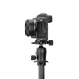 Новые товары - 3 Legged Thing ROXIE QD 110mm Arca L-Bracket Darkness/Blk for Canon R5/R5 C/R6 ROXIEQD B - быстрый заказ от произ
