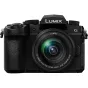 Mirrorless Cameras - Panasonic Lumix G95D (90/91/99) + Panasonic LUMIX G Vario 12-60mm f/3.5-5.6 Asph. Power O.I.S (H-FS12060) (Black) DCG95DMK - quick order from manufacturer