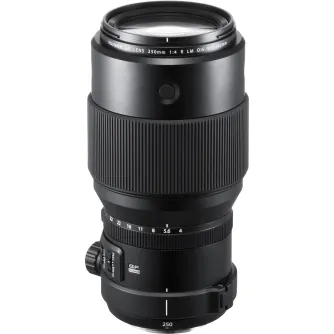 Medium Format Lenses - FUJIFILM FUJINON GF 250mm F4 R LM OIS WR Telephoto Lens 16576659 - quick order from manufacturer