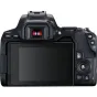 DSLR Cameras - Canon EOS 250D DSLR Camera with 18-55mm & 50mm Lenses - quick order from manufacturer