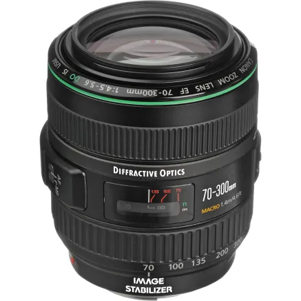 Canon EF 70-300mm f/4.5-5.6 DO IS USM Telephoto Lens 9321A002