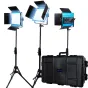 LED панели - Dracast X Series LED500 Daylight LED 3 Light Kit with Injection Molded Travel Case (DRX3500DNH) - быстрый заказ от производителя