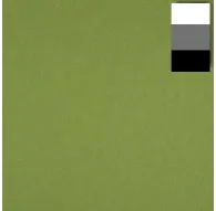 Backgrounds - walimex Cloth Background 2,85x6m, piquant green - quick order from manufacturerBackgrounds - walimex Cloth Background 2,85x6m, piquant green - quick order from manufacturer