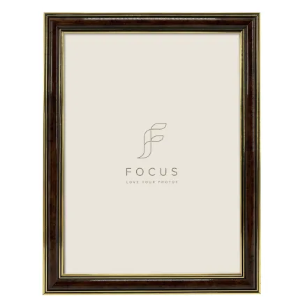 FOCUS HOLLY LIGHT ROOT 10X15 132618