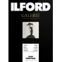 Foto papīrs - ILFORD GALERIE GOLD FIBRE PEARL A3+ 50 SHEETS 2002697 - ātri pasūtīt no ražotāja