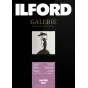 Фотобумага - ILFORD GALERIE RASTER SILK 290G 10X15CM 100 SHEETS 2002719 - быстрый заказ от производителя