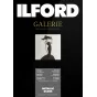 Foto papīrs - ILFORD GALERIE METALLIC GLOSS 260G 10X15CM 100 SHEETS 2002724 - ātri pasūtīt no ražotāja