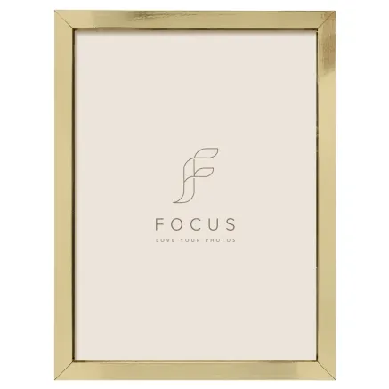 FOCUS IVY GOLD 20X30 132407