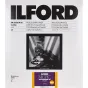 Foto papīrs - ILFORD PHOTO ILFORD MULTIGRADE RC DELUXE SATIN 8.9X12.7CM 100 1180420 - ātri pasūtīt no ražotāja