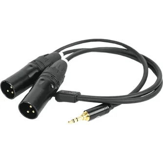 Audio vadi, adapteri - HOLLYLAND 3.5MM TO DUAL XLR AUDIO CABLE HL-XLR02 - ātri pasūtīt no ražotāja