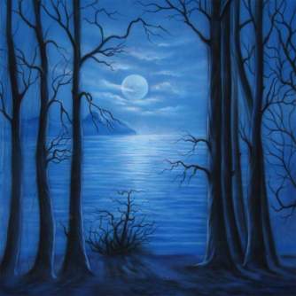 Backgrounds - walimex pro Cloth Background Moonlight, 3x6m - quick order from manufacturer