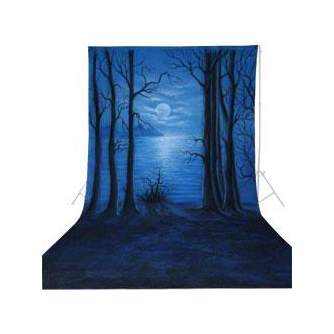 Backgrounds - walimex pro Cloth Background Moonlight, 3x6m - quick order from manufacturer