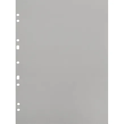 FOCUS CARTON REFILLSHEETS FOR RINGBINDER A4 GREY 30-PACK 134078