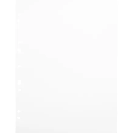 FOCUS CARTON REFILLSHEETS FOR RINGBINDER GIGANT BLACK 10-PACK 134083