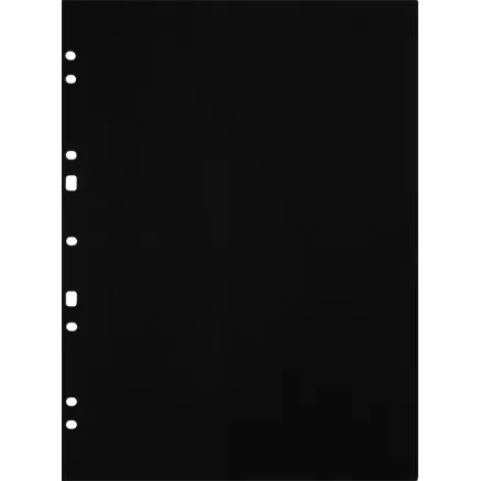 FOCUS CARTON REFILLSHEETS FOR RINGBINDER A4 GREY 30-PACK 134078