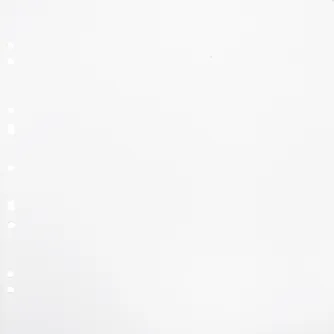 Photo Albums - FOCUS CARTON REFILLSHEETS FOR RINGBINDER GIGANT WHITE 10-PACK 134082 - quick order from manufacturer