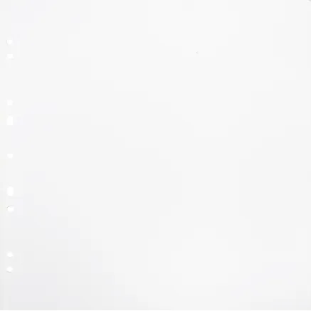 FOCUS CARTON REFILLSHEETS FOR RINGBINDER GIGANT BLACK 10-PACK 134083