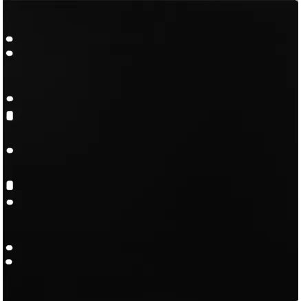 FOCUS CARTON REFILLSHEETS FOR RINGBINDER GIGANT BLACK 10-PACK 134083