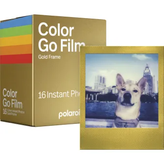 Instantkameru filmiņas - POLAROID COLOR FILM FOR GO - GOLD FRAME - DOUBLE PACK 6588 - ātri pasūtīt no ražotāja