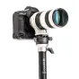 Monopods - Benro MSDPL46C SupaDupa Monopod - buy today in Master Foto store and with delivery
