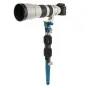 Monopods - Benro MSD46C72 SupaDupa Carbon Fibre Monopod - buy today in Master Foto store and with delivery