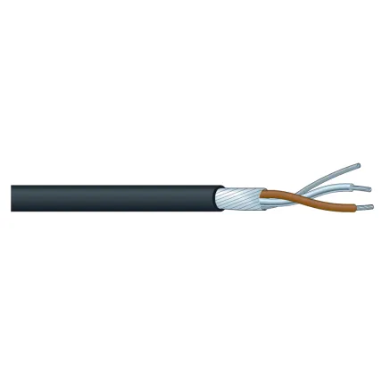 Canare MS202 Two-Conductor Cable