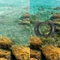SmallRig Black/White Mist Filter & CPL Filter Set для DJI Osmo Pocket 3