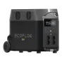 EcoFlow Delta Pro + PowerStream 800W
