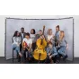 Lastolite Panoramic Background 4m Limestone