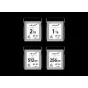 Exascend CFexpress 4.0 Type B Element Pro Series 1TB