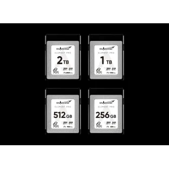 Exascend CFexpress 4.0 Type B Element Pro Series 1TB