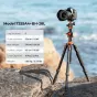 K&F Concept K&F T255A4+BH-28L Алюминиевый Видеостатив