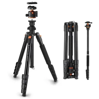 K&F Concept KF09.144V1 O275A5+BH-36 tripod