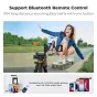 K&F Concept S254A3+BV0 Tripod - Lightweight, adjustable from 19 to 68 cm, supports 