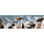 PGYTECH OSMO POCKET/POCKET 2 Filter ND-PL Set