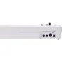 Roland A-49-WH 49-key MIDI controller with D-BEAM