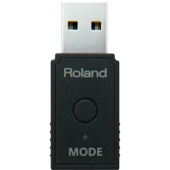 Roland WM-1D