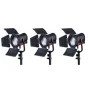 Swit FL-C60D 3KIT Набор из 3 x 60W LED Прожекторов