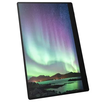 RICOH 150BW Ultra-lightweight Portable Wireless Touchscreen Monitor