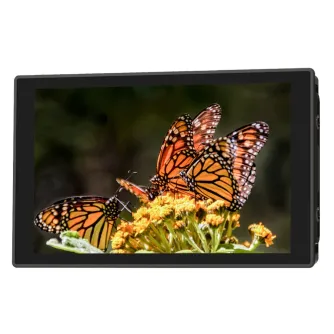PortKeys HD7T 7 colu 4K30p skārieniskais monitors ar krāšņu Monarch tauriņu attēlu uz zieda, ideāls kreatīvajiem darbiem.