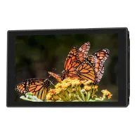 PortKeys HD7T 7 colu 4K30p skārieniskais monitors ar krāšņu Monarch tauriņu attēlu uz zieda, ideāls kreatīvajiem darbiem.PortKeys HD7T 7 colu 4K30p skārieniskais monitors ar krāšņu Monarch tauriņu attēlu uz zieda, ideāls kreatīvajiem darbiem.