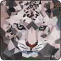 SmallRig 6038 kamera sedla ar izcilu geometrisko sniega leoparda dizainu, kas nodrošina augstas kvalitātes aizsardzību kamerai