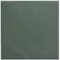 FOCUS green envelope 160x160 mm, 110g acid-free paper with a smooth texture, ideal for invitations and greeting cards, 50-pack sample view