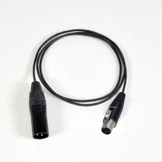 Mini XLR (F) / XLR (M) audio cable - 0,5m