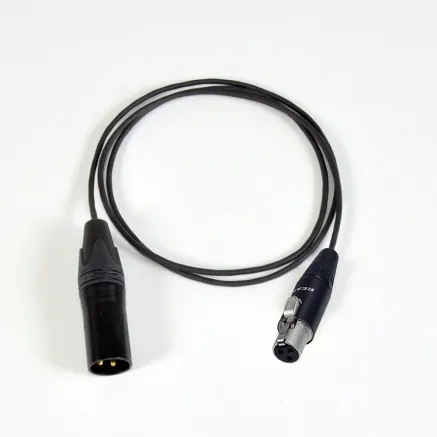 Mini XLR (F) / XLR (M) audio cable - 0,5m