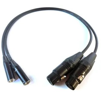 Infinitek Mini XLR uz XLR kabeļu komplekts Blackmagic Design Video Assist, 0.5m garums, melni spirālveida savienotāji