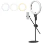 Ulanzi T1 10-inch LED ring light set with adjustable stand, smartphone holder, and three diffuser options for overhead vlogging and content creation