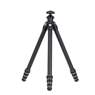Falcam TreeRoot Quick Lock Lite carbon fiber travel tripod with F38 ball head, legs spread in three-position configuration, twist-lock joints, and removable rubber feet